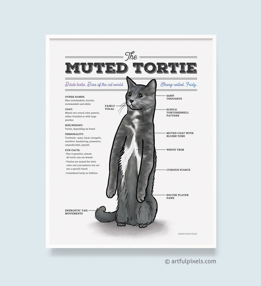 Tortoiseshell Cat Coloring Page for Adults - Root Inspirations