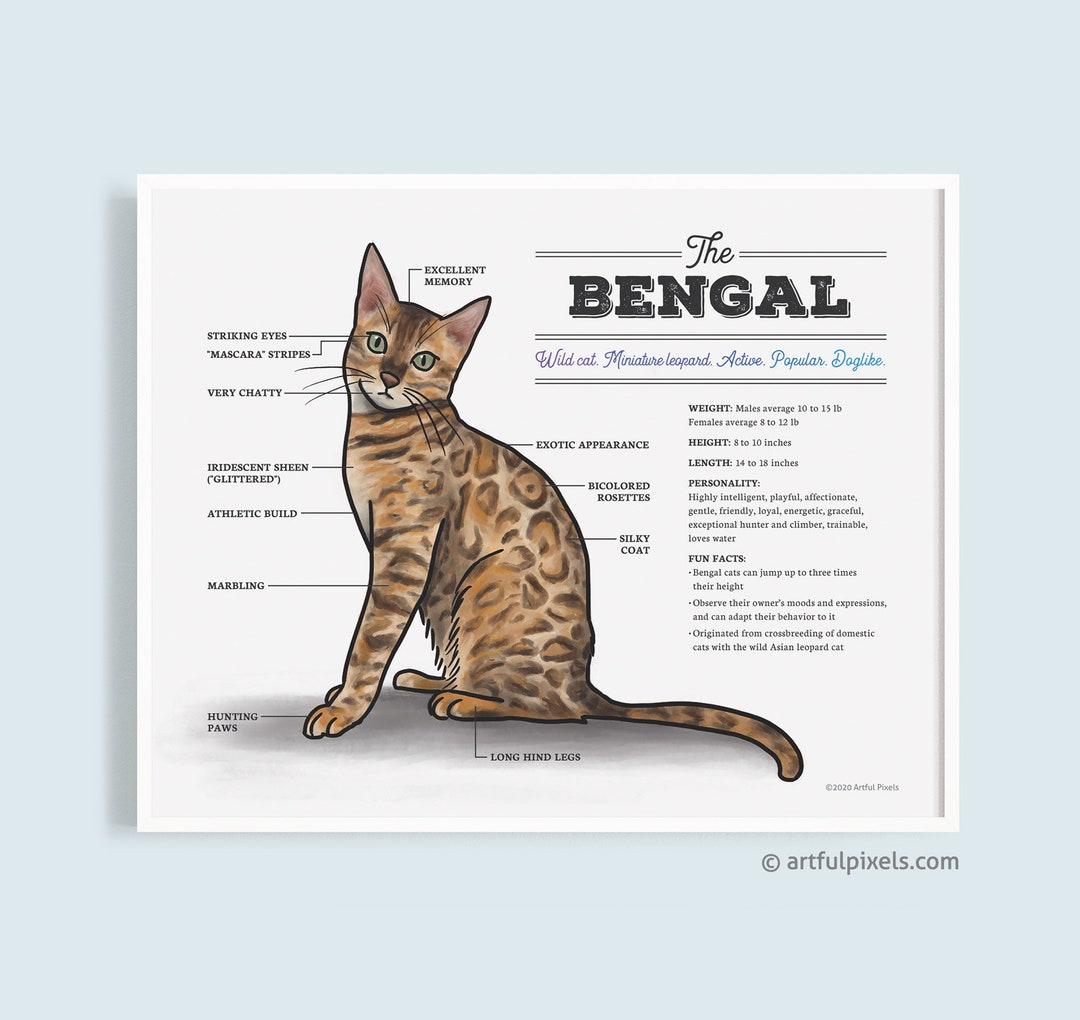 Bengal Cats Rosettes Bengal Cat Anatomy Art Print: Watercolor Cat