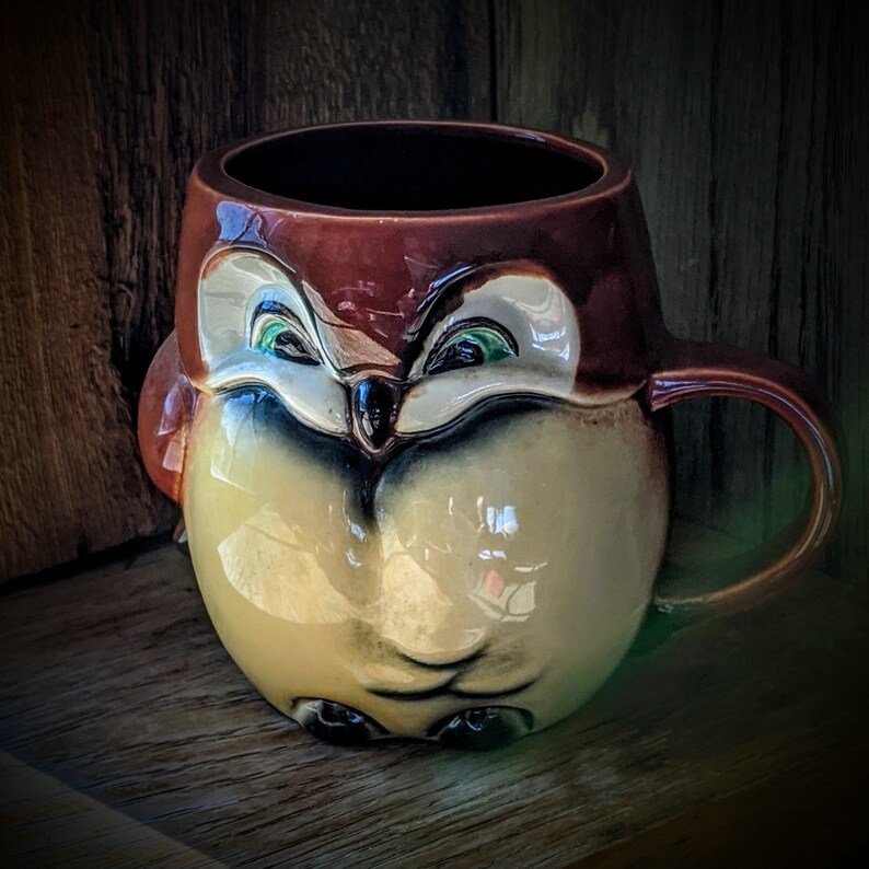 Owl Coffee Cup Goebel 76516 Porcelain Childs Cup Farmhouse Style Owl Tea Cup Collectible Gift
