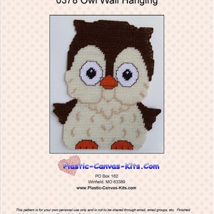 Owl Wall Hanging-Plastic Canvas Pattern-PDF Download