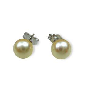 AAA+ Golden Akoya Pearl Studs Earrings - Various sizes -er19