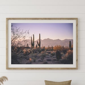 Saguaro Cactus Arizona Druck oder Leinwand