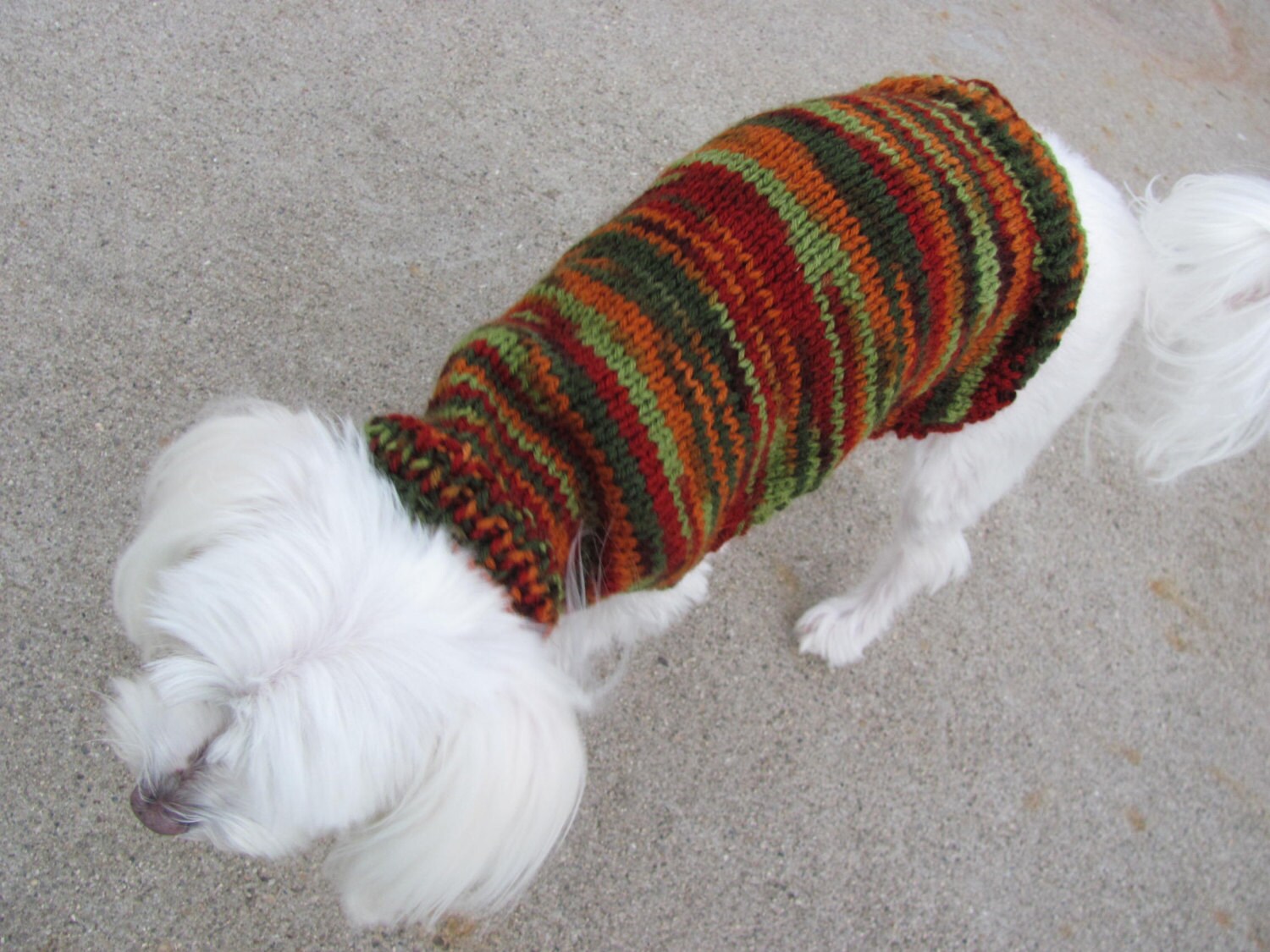 Small & Medium Dog MultiColor Autumn Sweater Multicolor Dog Etsy.de