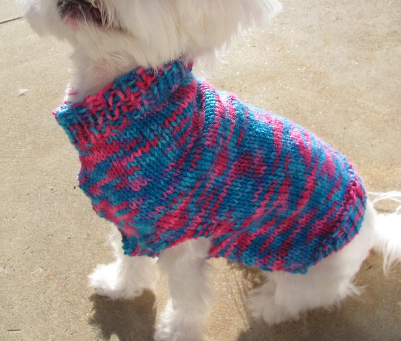 Handmade Bright Colored Dog Sweater Small Dog Multi-Color BluePink Sweater Multicolor Dog Sweater Small Dog Apparel