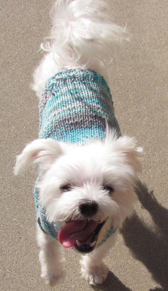 best dog sweater Fuchsia Purple Dog Hoodie main image 0