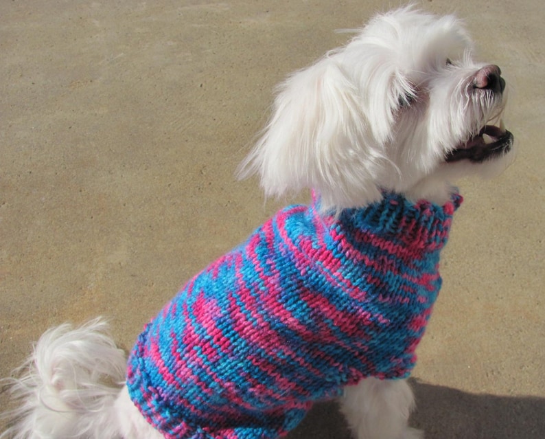 Handmade Bright Colored Dog Sweater Small Dog Multi-Color BluePink Sweater Multicolor Dog Sweater Small Dog Apparel