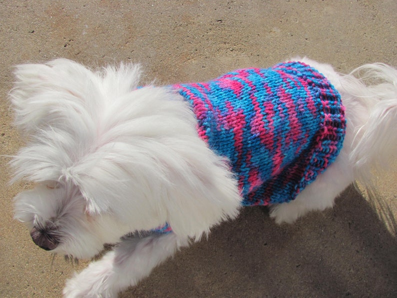 Handmade Bright Colored Dog Sweater Small Dog Multi-Color BluePink Sweater Multicolor Dog Sweater Small Dog Apparel