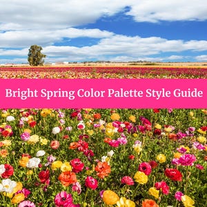 May include: A field of colorful flowers in shades of pink, red, yellow, and white. The flowers are in bloom and the field is surrounded by a blue sky with white clouds. The text "Bright Spring Color Palette Style Guide" is displayed across the top of the image.