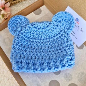 Crochet Teddy Bear Baby Hat, Newborn Baby Hat, Baby Shower Gift, Coming Home Outfit, Newborn to 6 Months