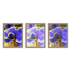 May include: Three framed prints of close-up photos of purple orchids with yellow centres. The photos are set against a light yellow background.