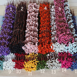 Pode incluir: Quinze feixes de ramos de bagas, cada feixe amarrado com barbante. Os ramos estão dispostos em uma fila, numerados de 1 a 15. As bagas são de várias cores, incluindo roxo, preto, rosa, laranja, branco, azul, vermelho, amarelo, verde e azul escuro.
