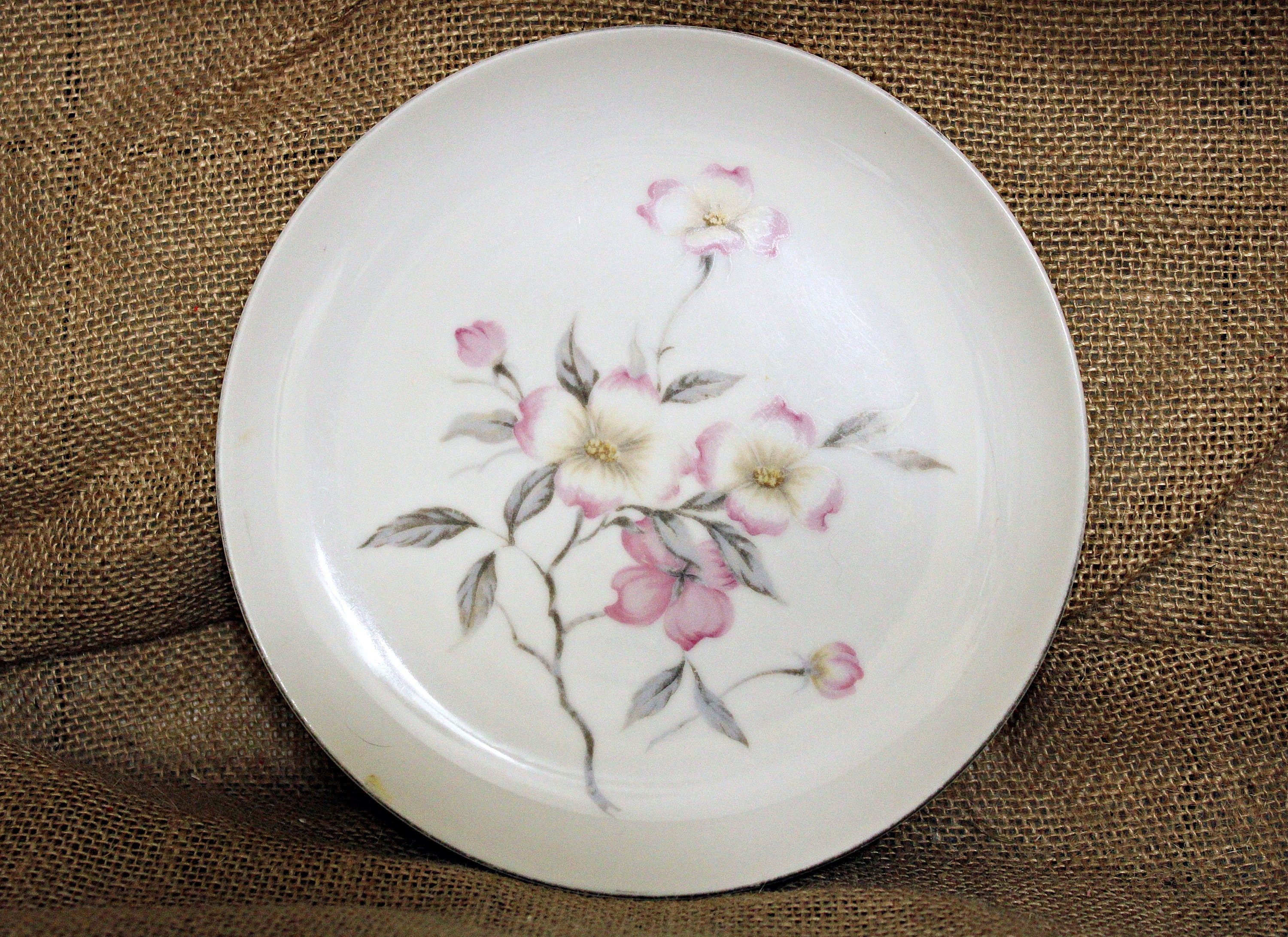 yamatake china 23㎝プレート　ピンク　20枚　洋食皿　26166 il_fullxfull.2585746469_rvno.jpg