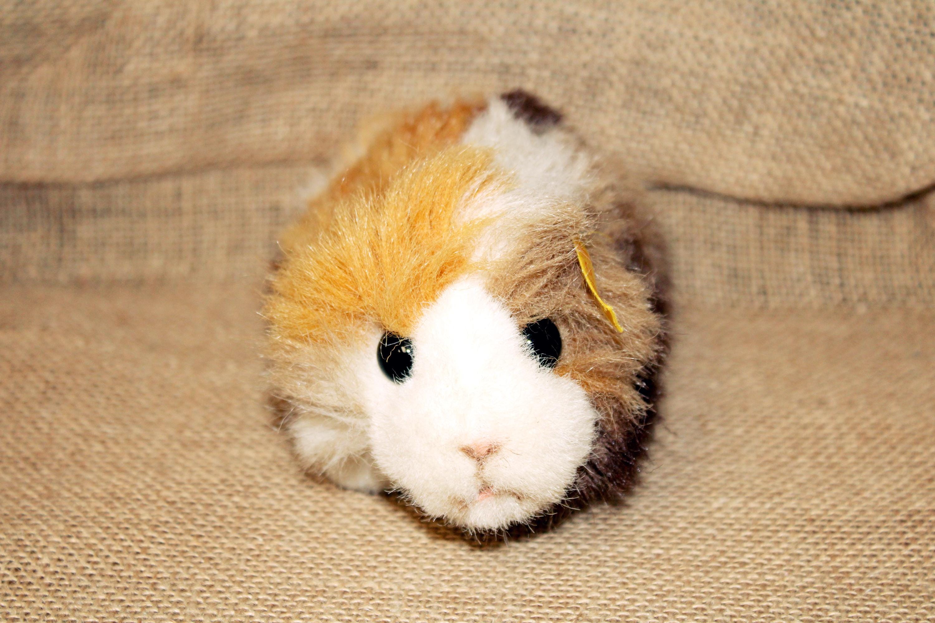 Steiff Pig - Etsy