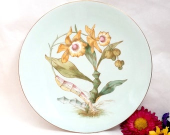 E.J.D. Bodley Botanical Orchid Plate Aesthetic Movement Antique Circa 1875