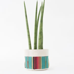 May include: A potted snake plant with long, green leaves in a white planter with a colorful striped fabric cover.