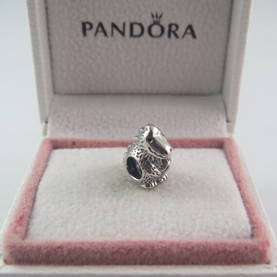 Dinosaur Charm/s925 Ale Sterling Silver 