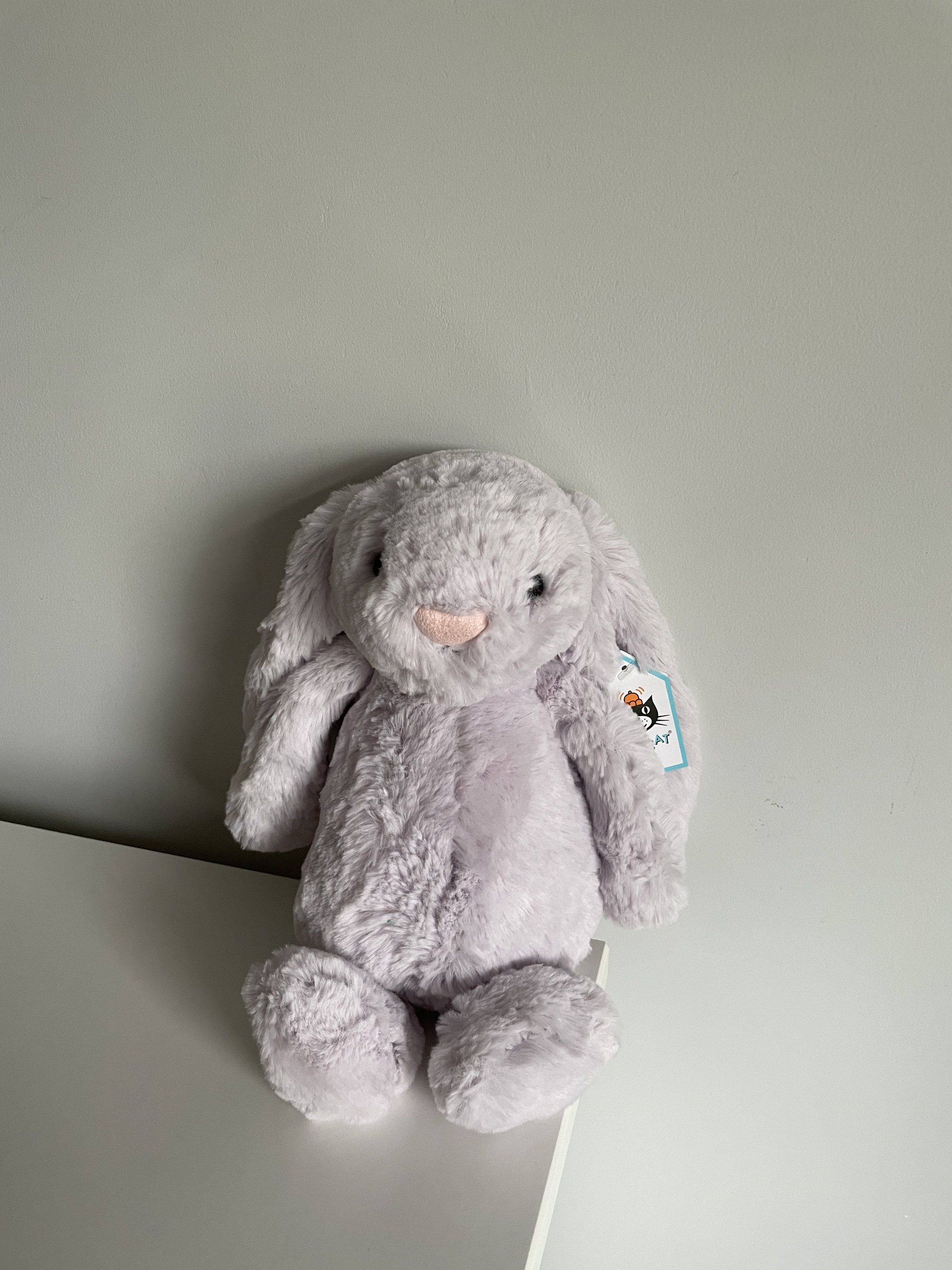 kiwi jellycat bunny