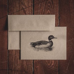 Cartes de correspondance pliées en papier canard colvert (lot de 8 cartes et enveloppes)