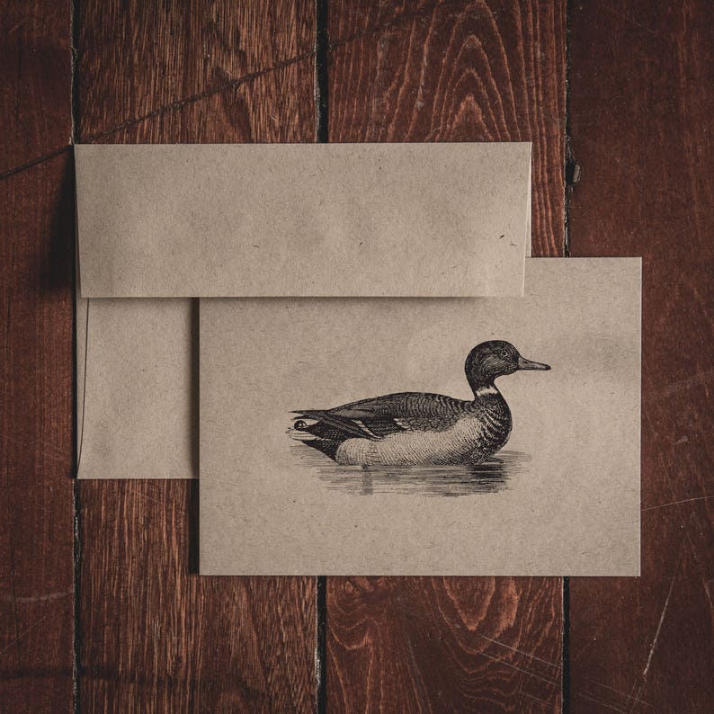 Cartes de correspondance pliées en papier canard colvert (lot de 8 cartes et enveloppes) image 1