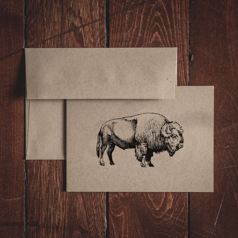 Cartes de correspondance pliées Bison Stationery (Ensemble de 8 cartes et enveloppes) image 1