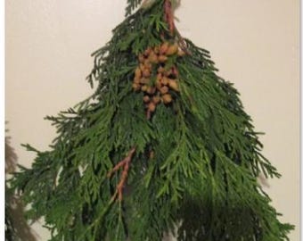 Fresh Evergreen Box – Pine, Cedar, Juniper, Holly, or Mixed Greens for Decor
