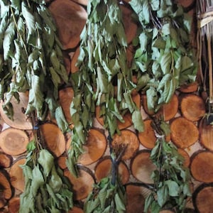 May include: Several bundles of dried green leaves hang against a backdrop of wooden logs. The leaves are tied together with twine or string. The wooden background has a natural, rustic appearance.