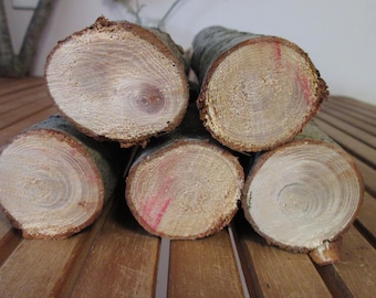 Small Hemlock Wood Pieces – Rustic Craft & Decor Logs