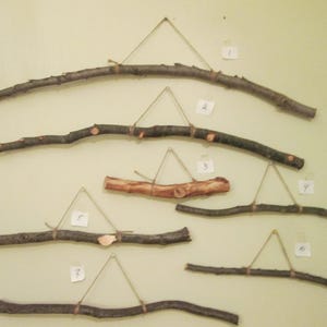 Wood branch hanger /Craft sticks /Wood stick /Wall hanging /Wood craft supplies