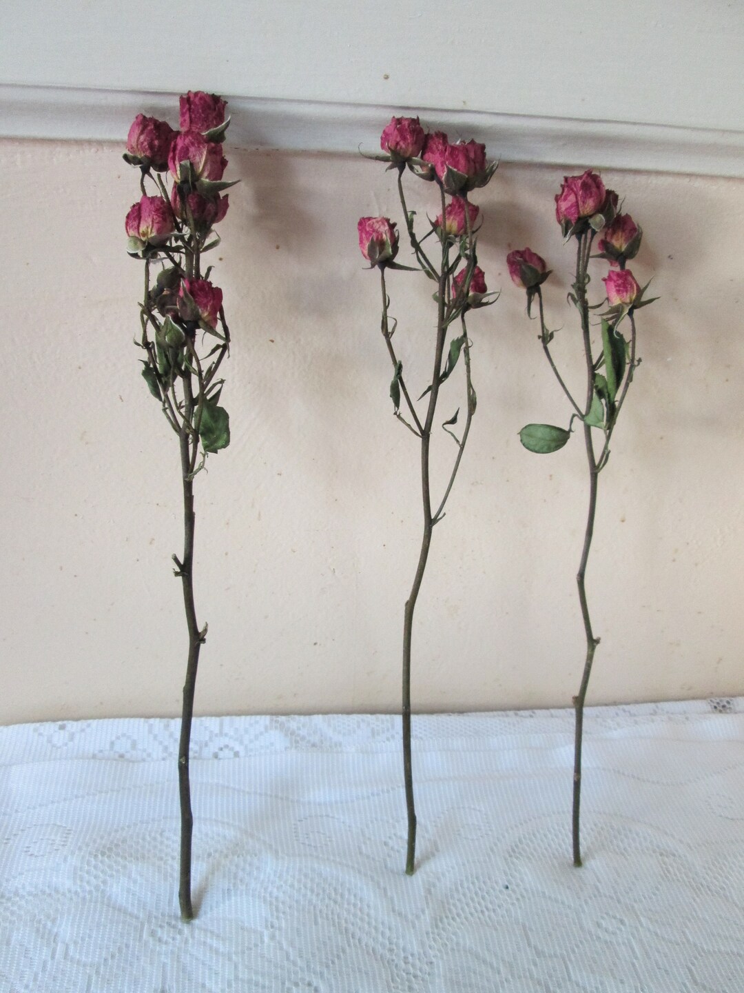 Dried Roses / Pink Rose Bunch / Dried Small Roses Raspberry - Etsy