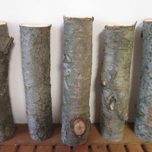 Natural Branch Set Rustic Wood Sticks