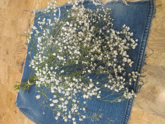 Preserved White Dried Gypsophila Baby's Breath Flowers 