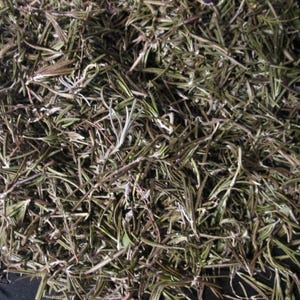 Foglie di rosmarino essiccate biologiche (Salvia rosmarinus) Opzioni personalizzate