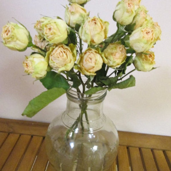 Air Dried White Roses Dried Flowers