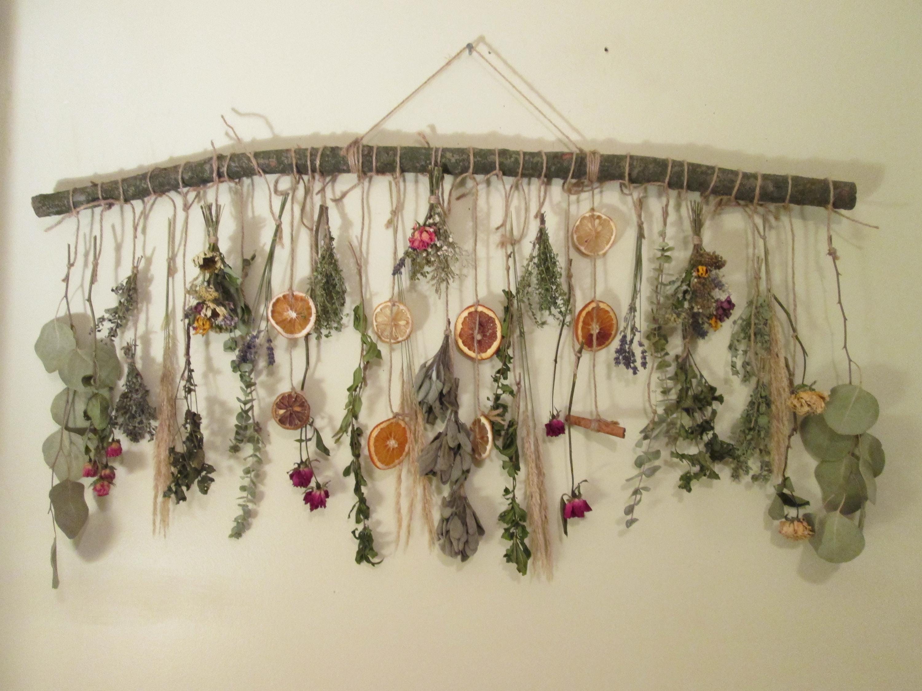Dried Flower Decor And Pressed Flowers Of Botanical