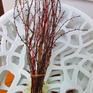 May include: A collection of thorny, reddish-brown branches bound with twine. Some branches display a vivid red colour, providing a strong contrast. The arrangement is set against a white, patterned background.