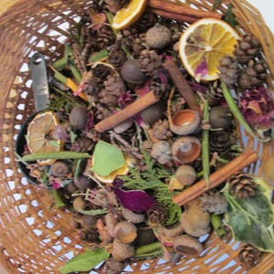 Popurrí de maderas rústicas, popurrí de botánicos secos con canela, cítricos y cedro, relleno de jarrón de madera