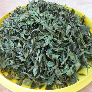 Pomegranate Leaves – Fresh or Dried (Loose)