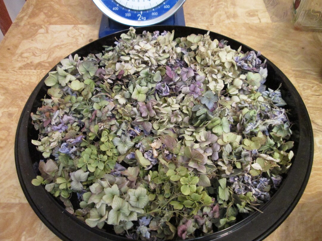 Dried Hydrangea Confetti Loose Hydrangea Clusters and Petals Etsy