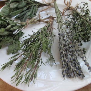 Dried Organic Herbs, Herb Bundles, Lavender, Rosemary, Thyme, Sage, Oregano, and Eucalyptus in bunches.