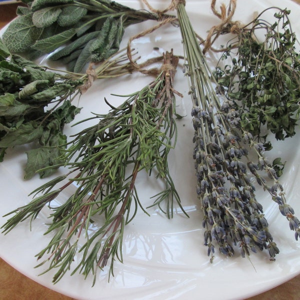 Getrocknete Bio-Kräuter, Kräuterbündel, Lavendel, Rosmarin, Thymian, Salbei, Oregano und Eukalyptus in Bündeln.