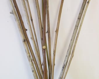 May include: A bundle of slender, natural-toned wooden sticks, varying in shades of brown and beige. The sticks are arranged in a fan-like pattern against a white background, showcasing their organic textures and shapes. Ideal for crafting or decorative purposes.