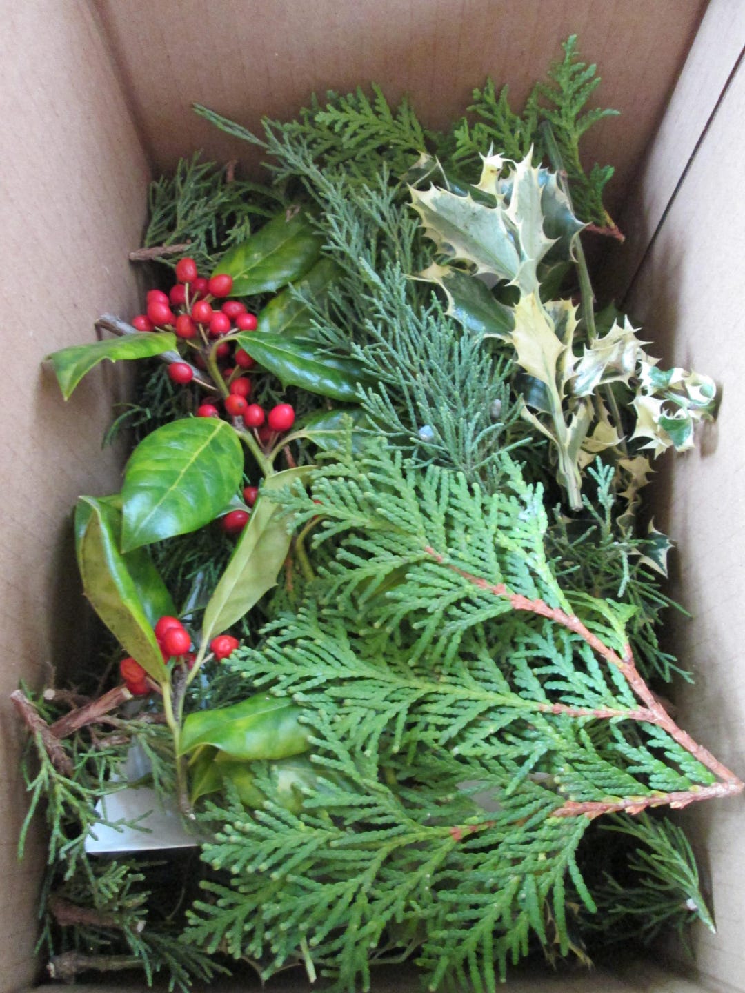 Box Greenery Fresh Evergreen Box – Pine, Cedar, Juniper, Holly, or Mixed Greens for ...