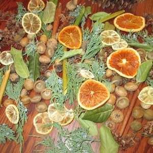 Holiday Simmer Pot Kit Christmas Winter Botanical Blend