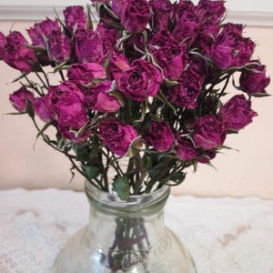 Small Red Dried Roses
