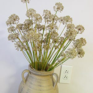 Peut inclure: Un bouquet de têtes de fleurs d'ail séchées et sphériques avec de fines tiges vert clair, disposé dans un vase en céramique beige à deux anses. Les têtes de fleurs séchées sont pâles, texturées et rondes, formant un bouquet dense et aérien.