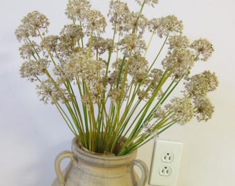 Pode incluir: Um ramo de cabeças de flores de allium secas e esféricas com caules finos de cor verde claro, disposto num vaso de cerâmica bege com duas pegas. As cabeças das flores secas são pálidas, texturizadas e redondas, criando um conjunto denso.