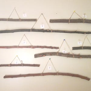 Dried Wood Branch Hanger: Rustic Craft Stick, Wall Decor