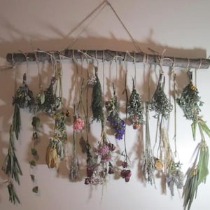 Hanging Dried Flower Wall Decor on Natural Branch | Cascading Botanical Wall Hanging | Natural Dried Flowers Farmhouse Cottage Decor