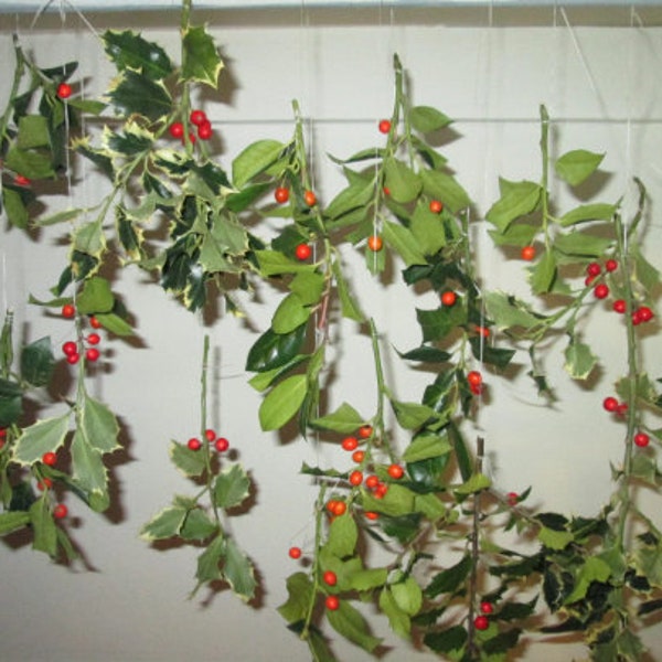 Fresh Holly Etsy