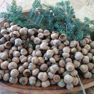 Red Oak Collection – Leaves, Branches, Acorns & Rustic Hanging Decor